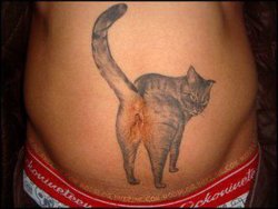 cat-bum-tattoo.JPG