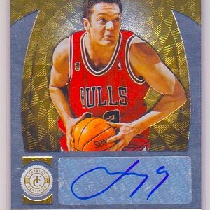 2013-14 Totally Certified Autographs Gold #229 Luc Longley 13:25.jpeg